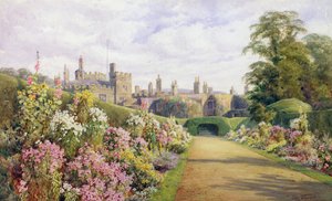 Bordo di Fiori